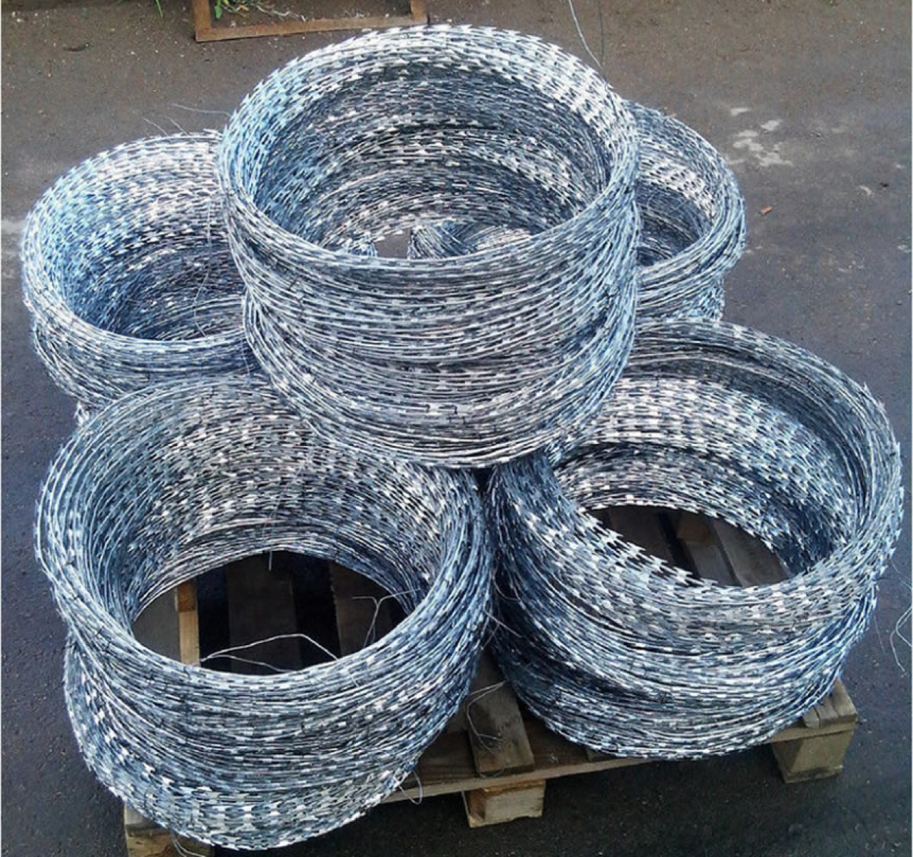 СББ АКЛ 600/50/3